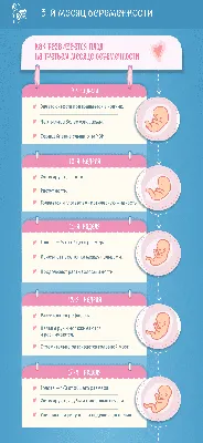 Третий месяц беременности: изменения в женском организме и развитие плода  по неделям – в картинках - agulife.ru