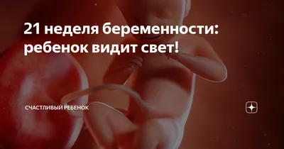 MedWeb - Внутриутробное развитие: с 1-й недели беременности и до родов