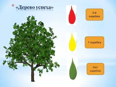 Мастер-класс - Рефлексия по проектам