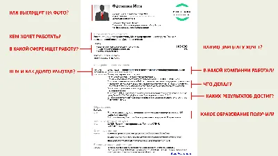 Шаблоны резюме на работу - образцы 2024 года