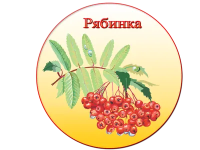 Рябинка Картинка