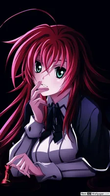 24+ Rias Gremory обои на телефон - oboi-telefon.ru