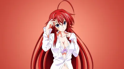 24+ Rias Gremory обои на телефон - oboi-telefon.ru