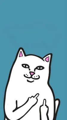 картинки на телефон | Ripndip wallpaper, Iphone wallpaper vintage hipster,  Cute wallpapers