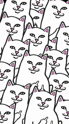 Collage RipnDip | Cat phone wallpaper, Ripndip wallpaper, Phone wallpapers  tumblr