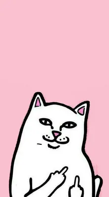 Phone wallpapers | Ripndip wallpaper, Cute wallpapers, Pretty wallpaper  iphone