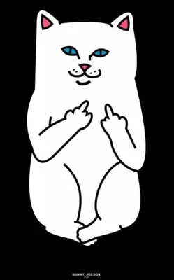 Ripndip Cat | Iphone wallpaper cat, Ripndip wallpaper, Cat wallpaper