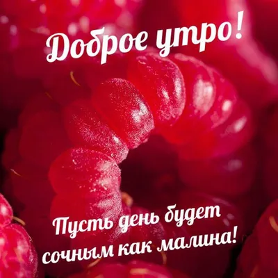 Что подарить девушке на 14 февраля - идеи подарков любимой