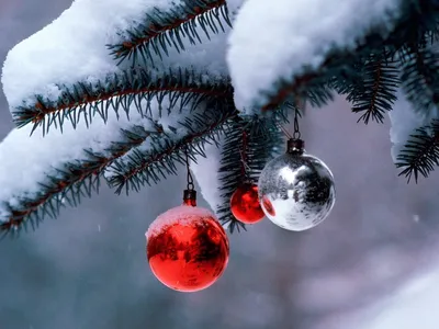 Скачать обои \"Рождество (Christmas Xmas)\" на телефон в высоком качестве,  вертикальные картинки \"Рождество (Christmas Xmas)\" бесплатно