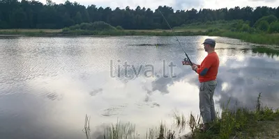 Однодневная морская рыбалка в Авачинской бухте