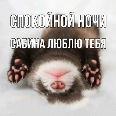 Спокойной ночи! Сладких снов! 😴#спокойнойночи #сладкихснов #добройноч... |  TikTok