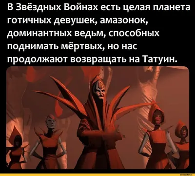 Пока кот молодной - это будильник, а когда постарше - уже снотворное.  Смешные картинки с котиками. | Любимые котики | Дзен