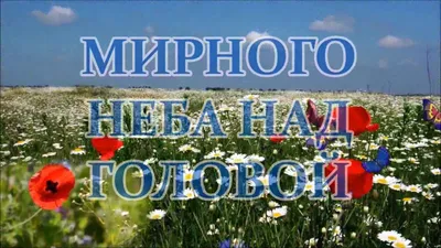 Открытки с 23 февраля для женщины и девушки