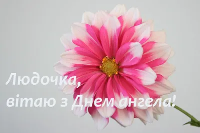 Сднем #Ангела #именинами #ЛЮДМИЛА #Деньангела #Красивые #поздравления  #пожелания #Видео #открытки | Именины, Открытки, Праздник