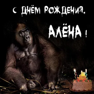 🥳 С Днем рождения! Сегодня празднует свой День Рождения - Елена Викторовна  Пискунова, учитель музыки, очаровательная.. | ВКонтакте