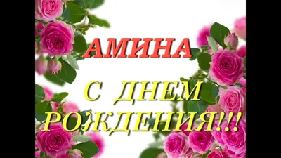 Наше лучезарное солнышко ☀️ Амина, с днем 🥳 рождения тебя! Пусть у тебя  будет целый букет веселых 🤪 приключений, необычных открытий… | Instagram