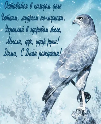 Композиция \"С Днем Рождения, Дима!\" купить воздушные шары с доставкой в  Москве