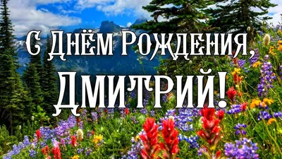 С днем рождения димуля картинки прикольные - 81 фото