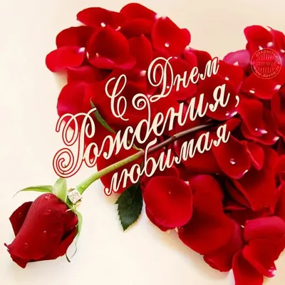 С дени рождения, дорогая Катенька!🤗💝🥰💝🎁🌹🌹🌹благодарю за ❤️🙏🌷 |  TikTok