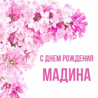 С днём рождения Эльвира!#деньрождения #ДавайЗаСтол #ЖелайтеСмело #длят... |  TikTok