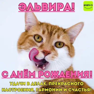 Открытка именная А5, С днём рождения, Эльвира. Подарок женщине на день  рождения - купить с доставкой в интернет-магазине OZON (1072197778)