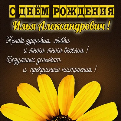 Кружка \"С днем рождения Илья\", 330 мл - купить по доступным ценам в  интернет-магазине OZON (1174355909)