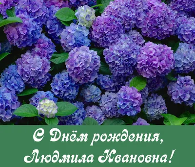 Поздравляем с Днем рождения Людмилу Анатольевну Диденко, кандидата  педагогических наук, доцента кафедры педагогики и управления образованием  КГПУ им. В.П. Астафьева! :: КГПУ им. В.П. Астафьева