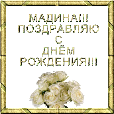 Открытка милой Мадине в День Рождения с забавной птичкой и цветами —  скачать бесплатно