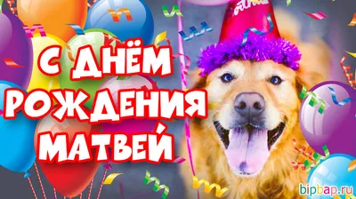 Матвей, внук с днем рождения! | TikTok