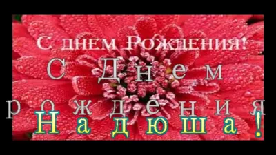 С Днем Рождения, alaya!. vocal-land.ru