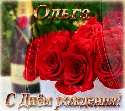 С днём рождения, Ольга Геннадьевна! • БИПКРО