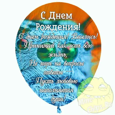 С днем рождения смешные открытки другу (62 фото)