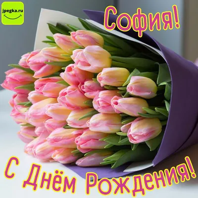 Открытки и картинки С Днём Рождения, Софья Владимировна!