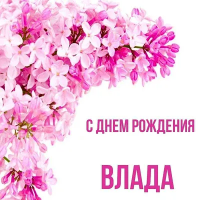 Поздравления с Днём Рождения Влада 🌸 Стихи, от Путина (звонок) на телефон,  проза, открытки