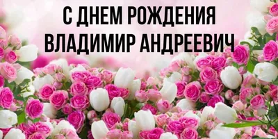 С Днем рождения, Владимир Валерьевич! » МХК Чайка Нижний Новгород -  официальный сайт хоккейной команды