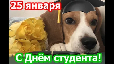 25 января – День студента! – ФМЭО