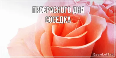 Создать мем \"большой красивый букет, с днем рождения, соседка., цветы,  пожелания на день рождения\" - Картинки - Meme-arsenal.com