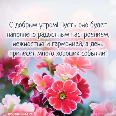 С Добрым летним утром! #доброеутро #хорошегонастроения #pozitiv_4ik #п... |  TikTok