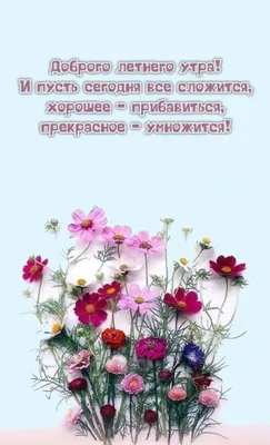 Картинка: Привет, это я! С добрым летним утром! • Аудио от Путина,  голосовые, музыкальные