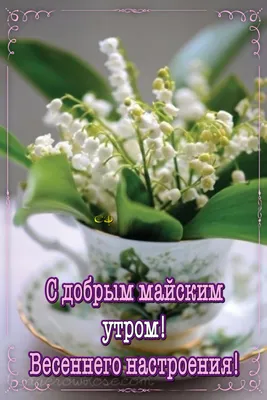 Картинки доброе утро весна май (60 фото) » Картинки и статусы про  окружающий мир вокруг