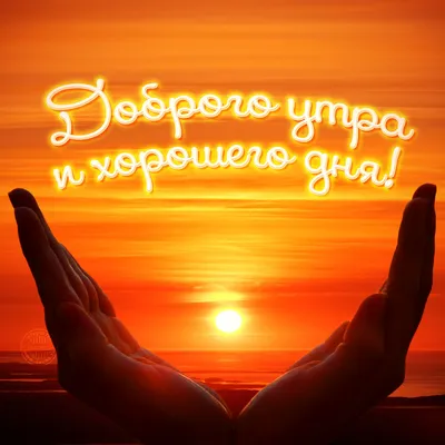 С Добрым утром Друзья! 🥰🌞…» — создано в Шедевруме