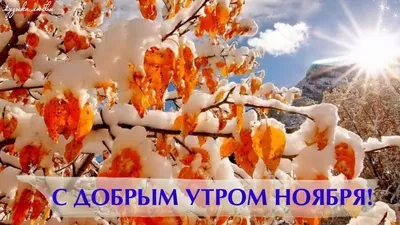 Доброго Ноябрьского Утра! 9 ноября. #пожеланиясдобрымутром #доброеутро... |  TikTok