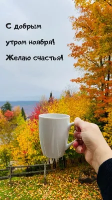 𝑺𝑽𝑬𝑻𝑰𝑲 - 🍂🍁🍂🍂ЗДРАВСТВУЙ НОЯБРЬ🍂🍁🍂🍁 С ДОБРЫМ УТРОМ, С ДОБРЫМ  МЕСЯЦЕМ НОЯБРЯ ! ПУСТЬ ВАМ ЭТОТ МЕСЯЦ ПРИНЕСЁТ ЗДОРОВЬЯ, СЧАСТЬЯ И ЛЮБВИ !  ЖЕЛАЮ ВАМ ПОБОЛЬШЕ НОВЫХ УДАЧ В ЖИЗНИ, УСПЕХА В ТРУДЕ ,