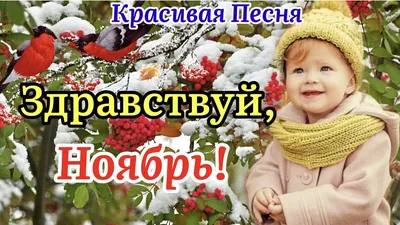 Отличного Осеннего Денечка! Красивое пожелание счастливого Ноября!Видео  открытка доброе утро Ноября! - YouTube