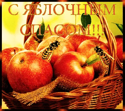 С яблочным Спасом, друзья!🍎🍎🍎 — DRIVE2