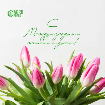 Николай Пестов и Дмитрий Машков поздравляют с Международным женским днем  жительниц Подольска