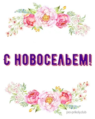 С НОВОСЕЛЬЕМ Весёлое Поздравление#сновосельем - YouTube