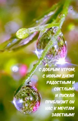 Картинка: \"С добрым летним утром, с добрым новым днём!\" • Аудио от Путина,  голосовые, музыкальные