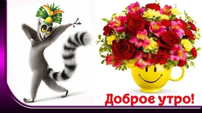 Картинки \"С Добрым Утром и Хорошего Дня!\" (256 шт.)