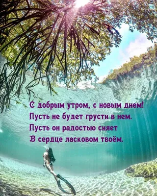 С новым днём! И помните, что погода - это то,что у вас внутри , а не за  окном 💙💙💙 | Instagram